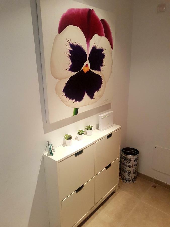 Apartamento Moderno 바야돌리드 외부 사진